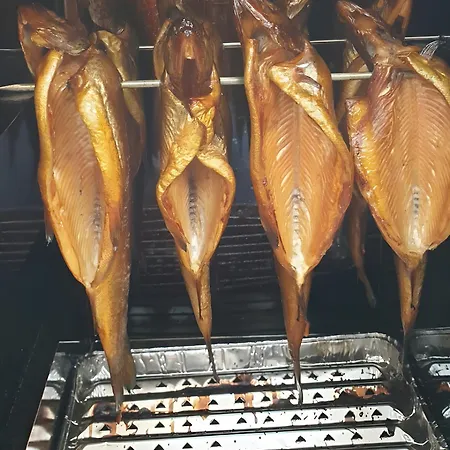 Krauses Unterdeck * 로딘
